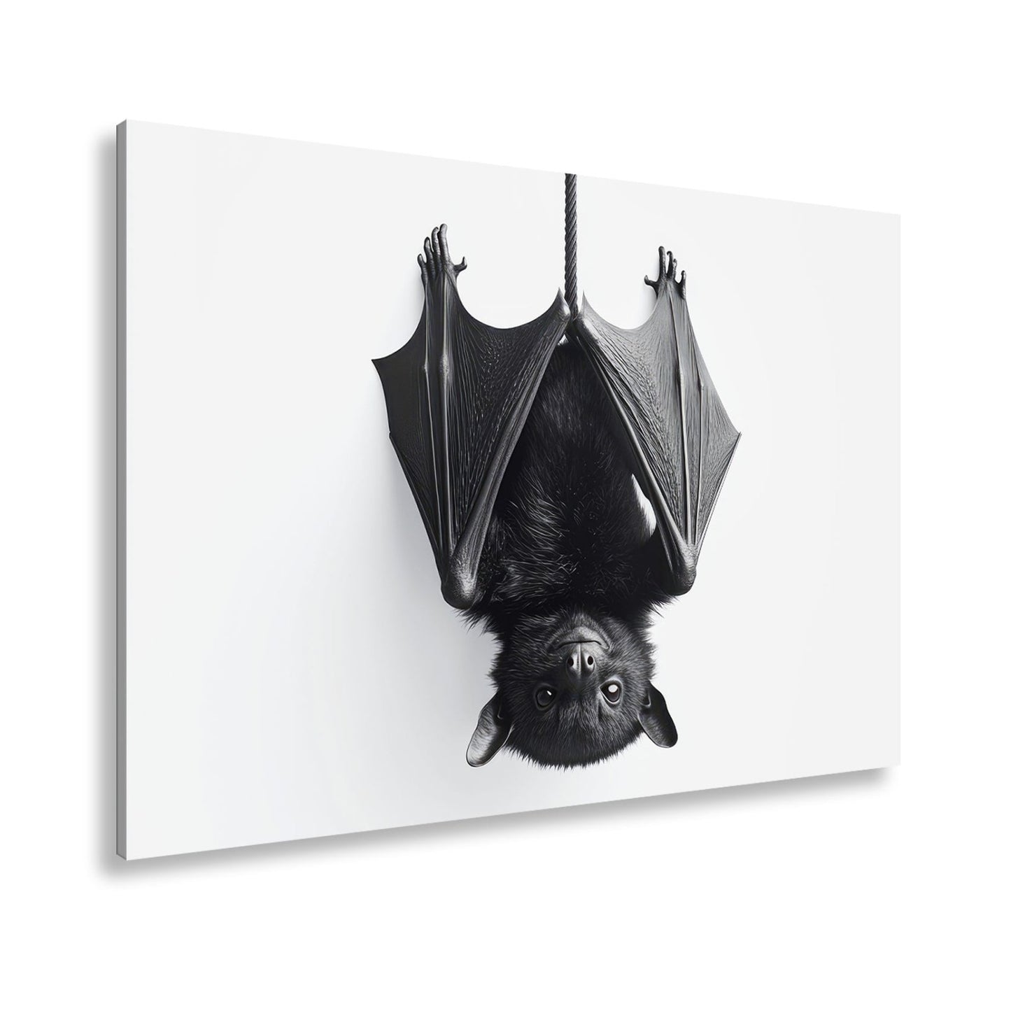 Leinwandbild Elegante Fledermaus hängt still im weißen Raum - deyoli