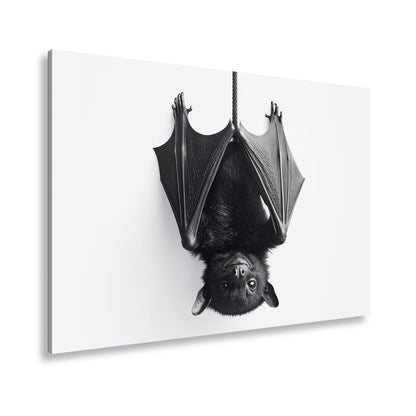 Leinwandbild Elegante Fledermaus hängt still im weißen Raum - deyoli