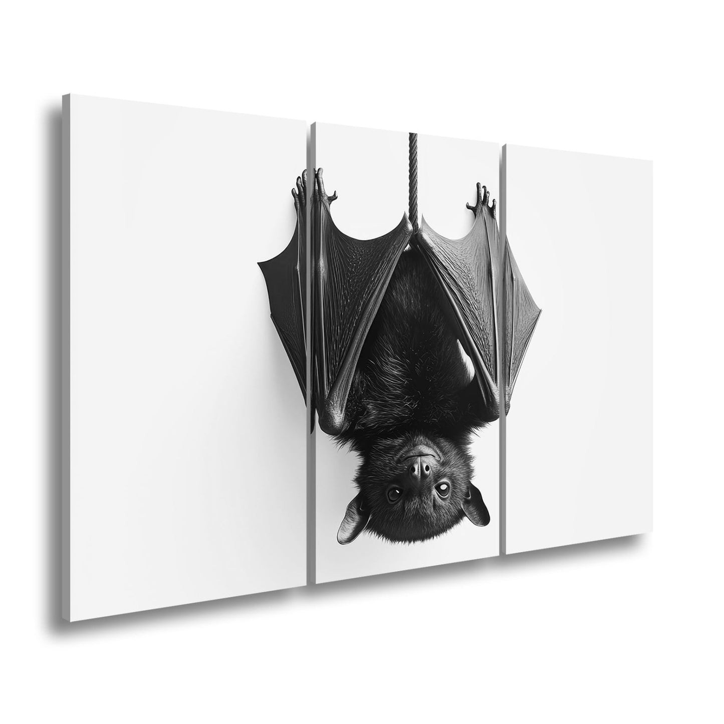 Leinwandbild Elegante Fledermaus hängt still im weißen Raum - deyoli
