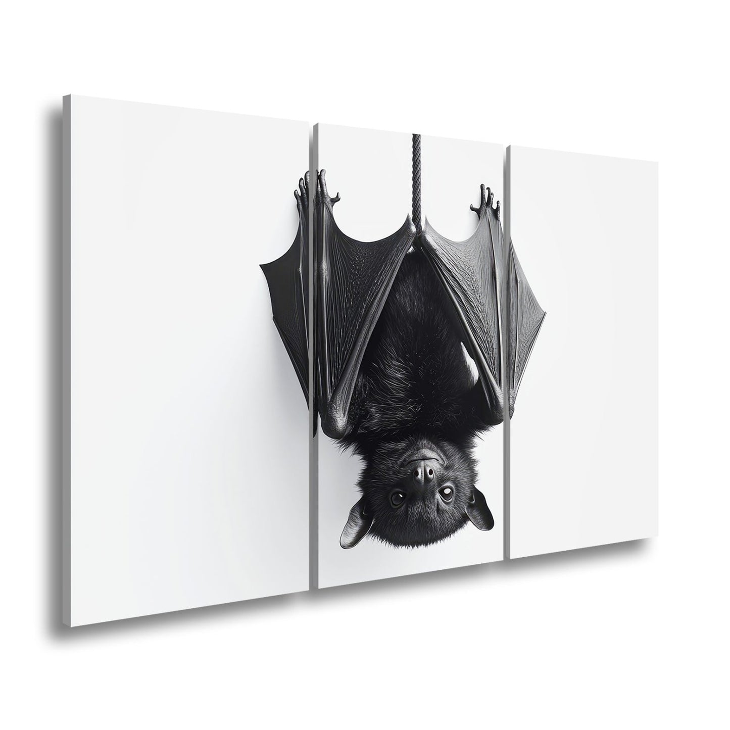 Leinwandbild Elegante Fledermaus hängt still im weißen Raum - deyoli