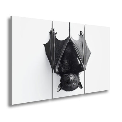 Leinwandbild Elegante Fledermaus hängt still im weißen Raum - deyoli