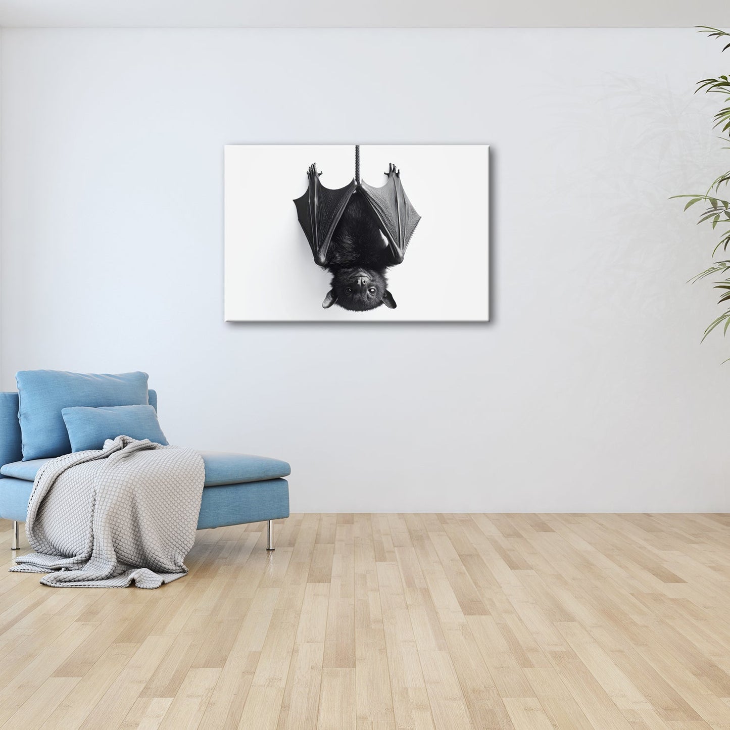 Leinwandbild Elegante Fledermaus hängt still im weißen Raum - deyoli