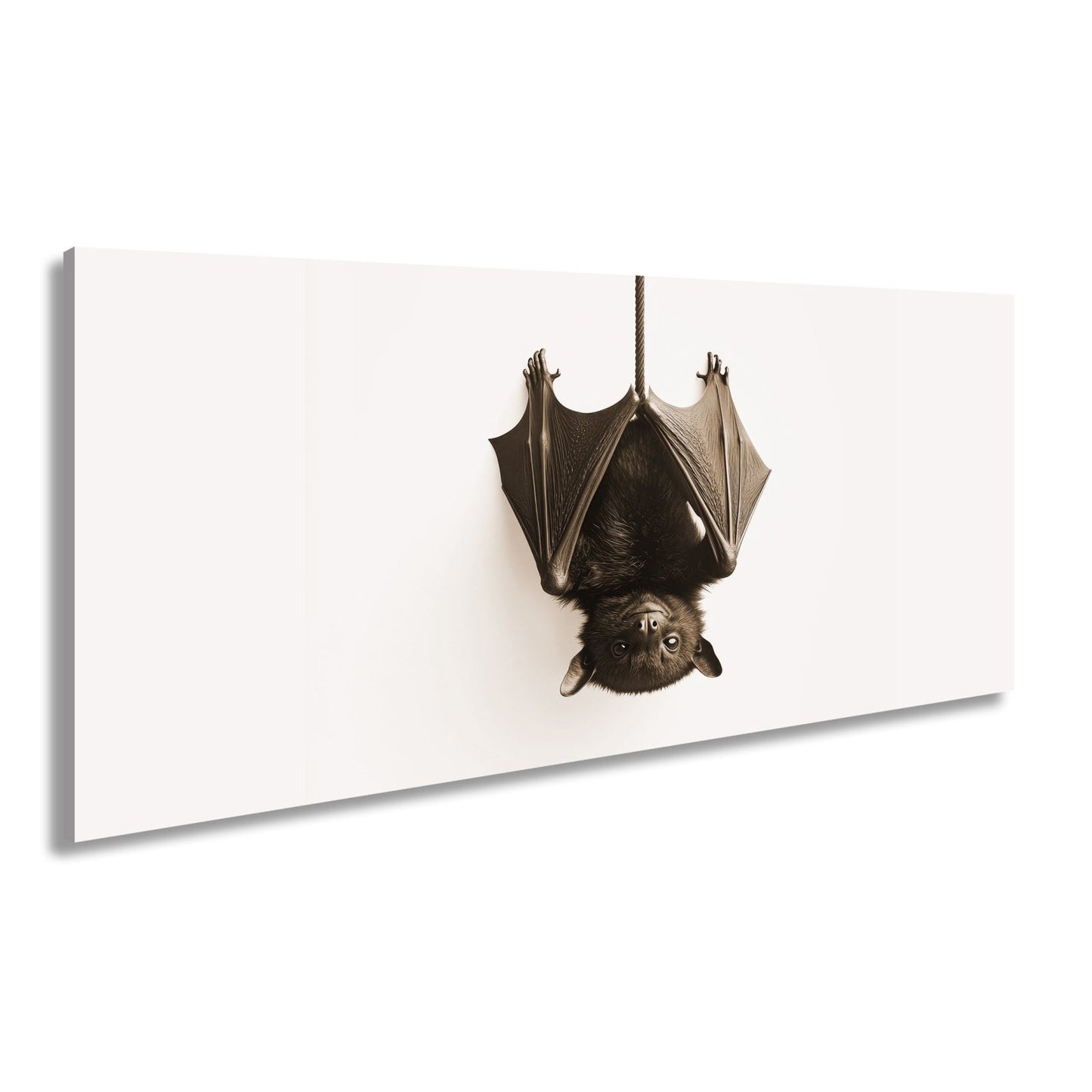 Leinwandbild Elegante Fledermaus hängt still im weißen Raum - deyoli