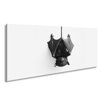 Leinwandbild Elegante Fledermaus hängt still im weißen Raum - deyoli