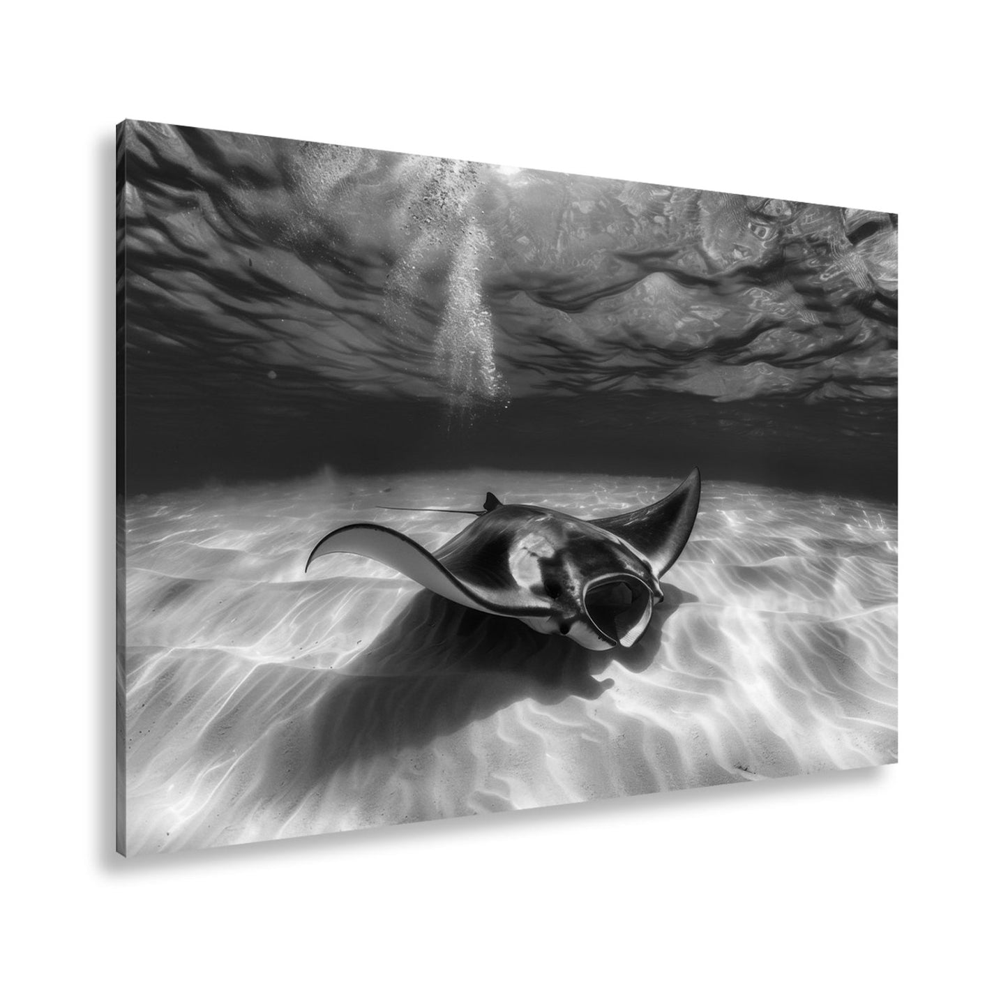 Leinwandbild Eleganter Manta – Sanfter Meeresgrund XXL Wandbild - deyoli