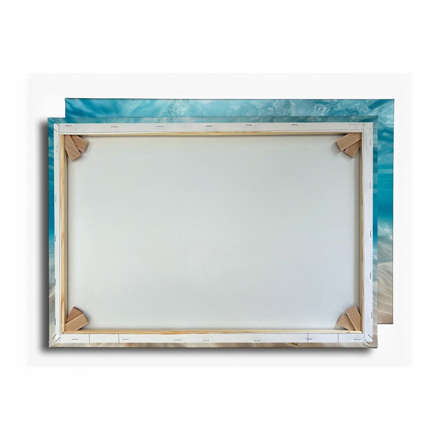 Leinwandbild Eleganter Manta – Sanfter Meeresgrund XXL Wandbild - deyoli