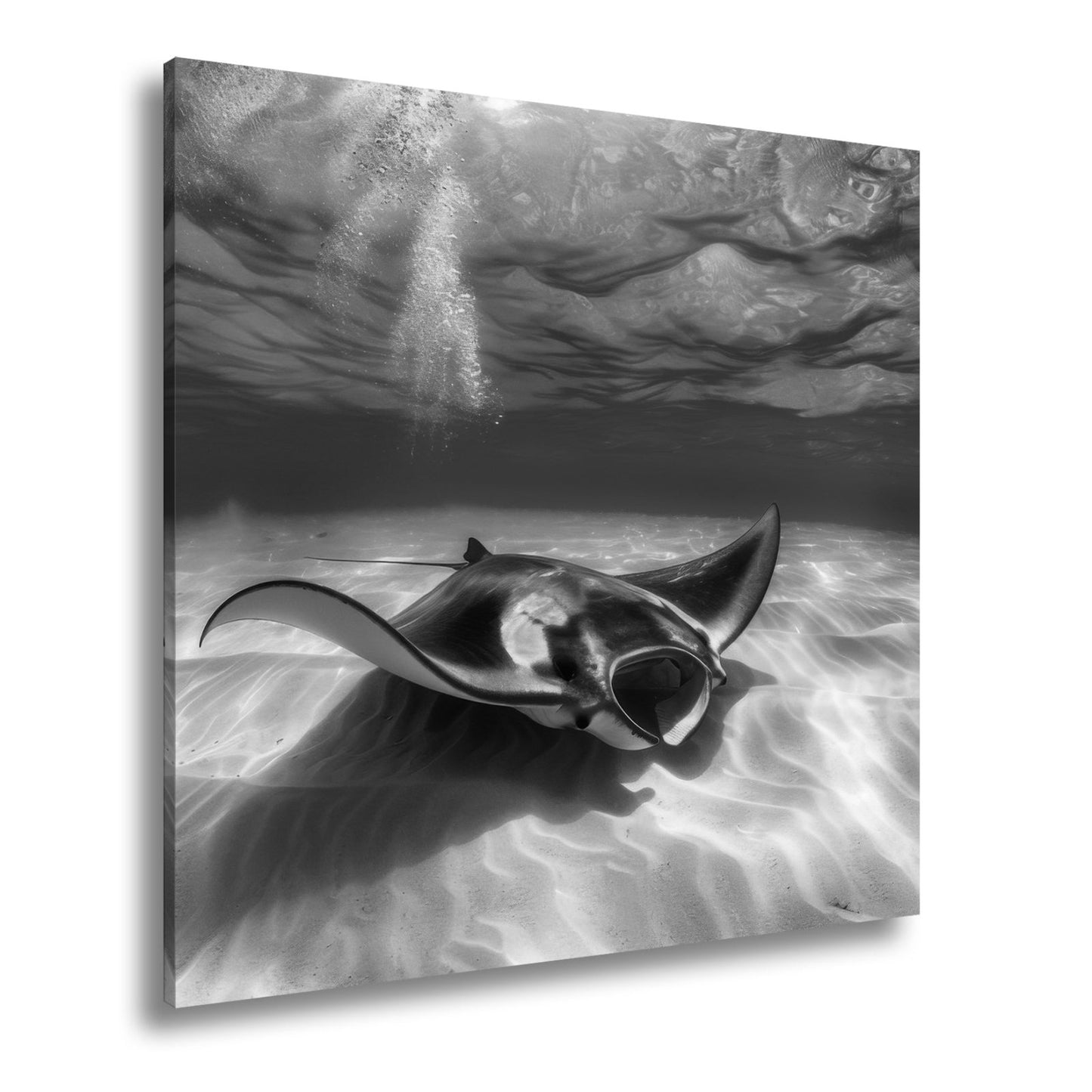 Leinwandbild Eleganter Manta – Sanfter Meeresgrund XXL Wandbild - deyoli