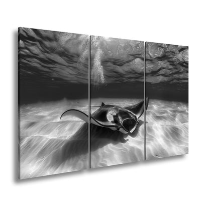 Leinwandbild Eleganter Manta – Sanfter Meeresgrund XXL Wandbild - deyoli