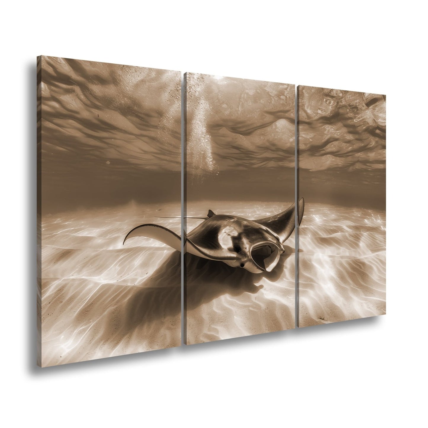 Leinwandbild Eleganter Manta – Sanfter Meeresgrund XXL Wandbild - deyoli