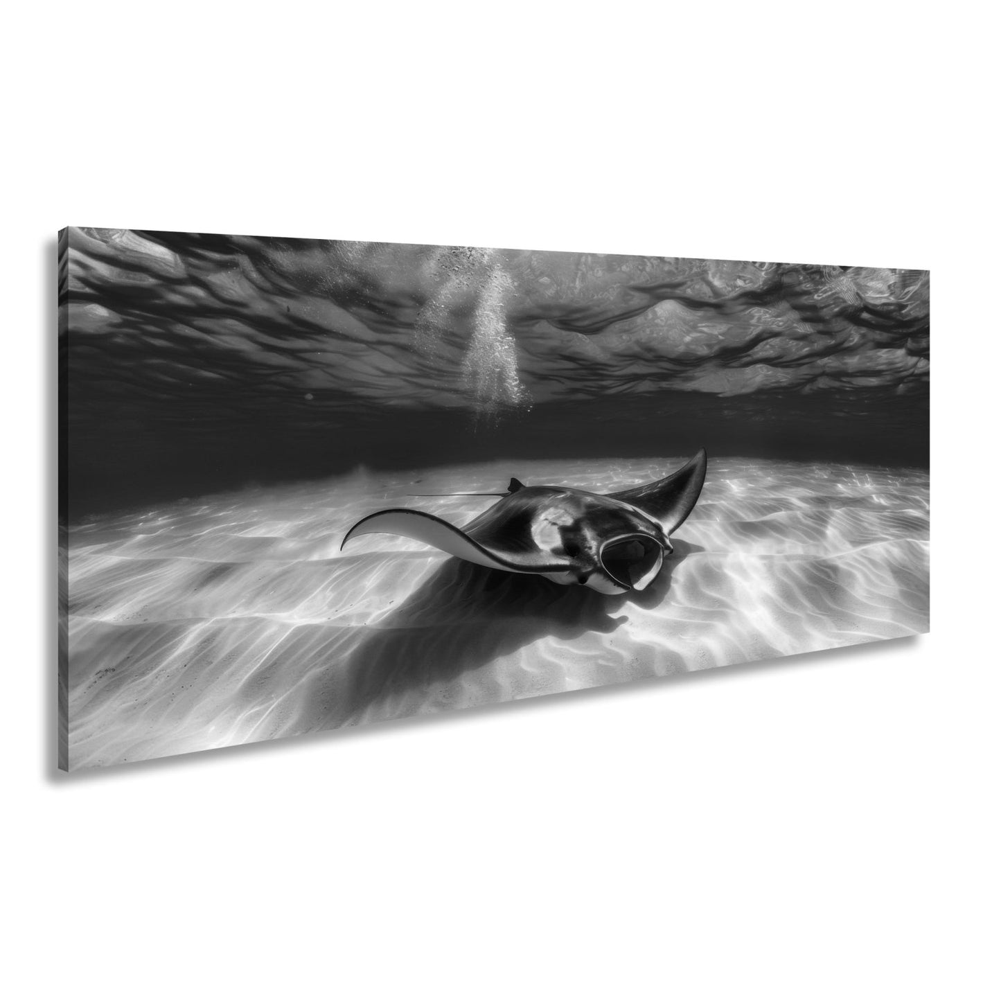 Leinwandbild Eleganter Manta – Sanfter Meeresgrund XXL Wandbild - deyoli