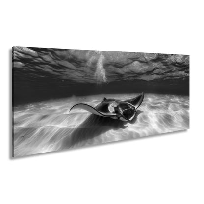 Leinwandbild Eleganter Manta – Sanfter Meeresgrund XXL Wandbild - deyoli