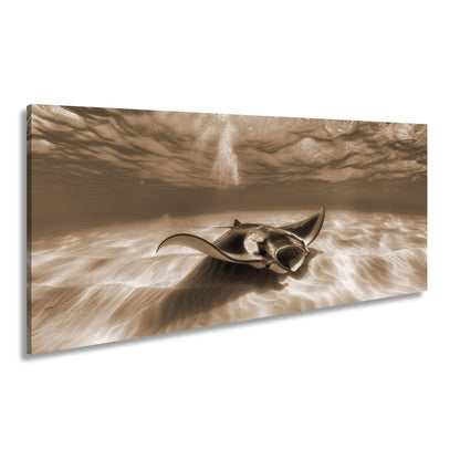 Leinwandbild Eleganter Manta – Sanfter Meeresgrund XXL Wandbild - deyoli