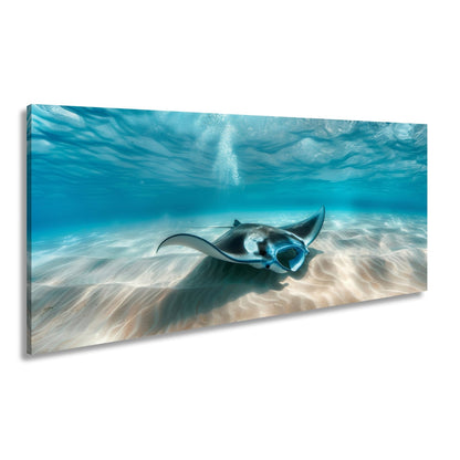 Leinwandbild Eleganter Manta – Sanfter Meeresgrund XXL Wandbild - deyoli