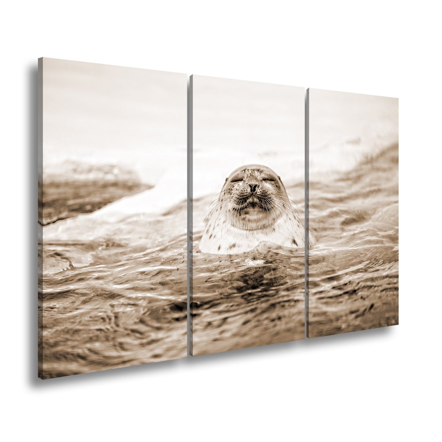 Leinwandbild Entspannte Robbe – Eisiges Wasser XXL Wandbild - deyoli