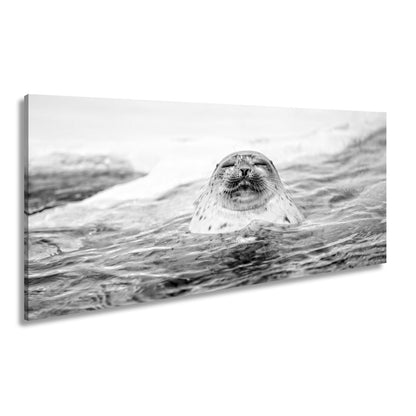 Leinwandbild Entspannte Robbe – Eisiges Wasser XXL Wandbild - deyoli