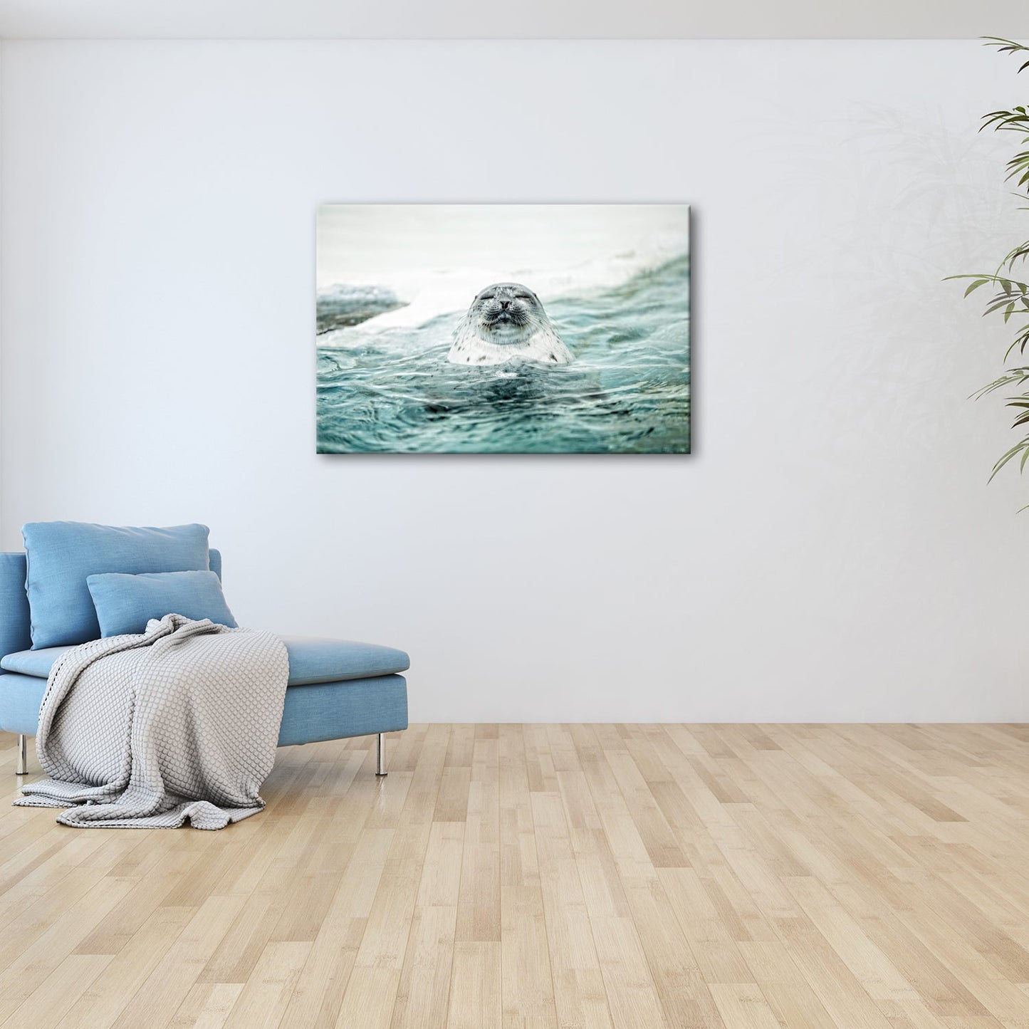 Leinwandbild Entspannte Robbe – Eisiges Wasser XXL Wandbild - deyoli
