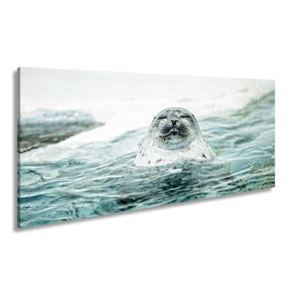 Leinwandbild Entspannte Robbe – Eisiges Wasser XXL Wandbild - deyoli