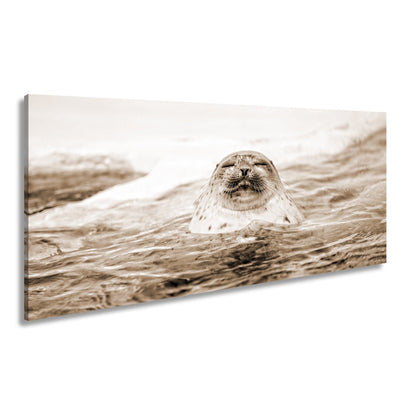 Leinwandbild Entspannte Robbe – Eisiges Wasser XXL Wandbild - deyoli
