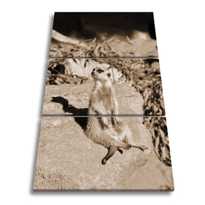 Leinwandbild Erdmännchen in Pose – als würde es die Sonne genießen. - deyoli