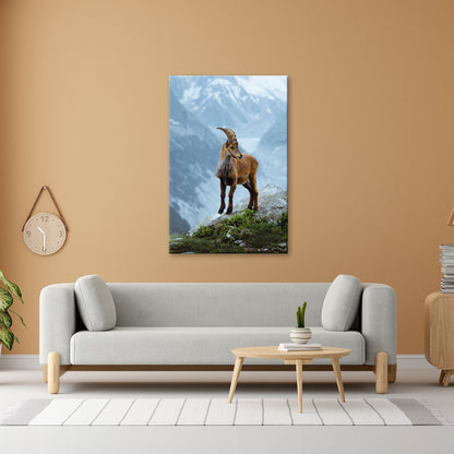 Leinwandbild Erhaben blickt der Steinbock in eisiger Bergesruh. - deyoli