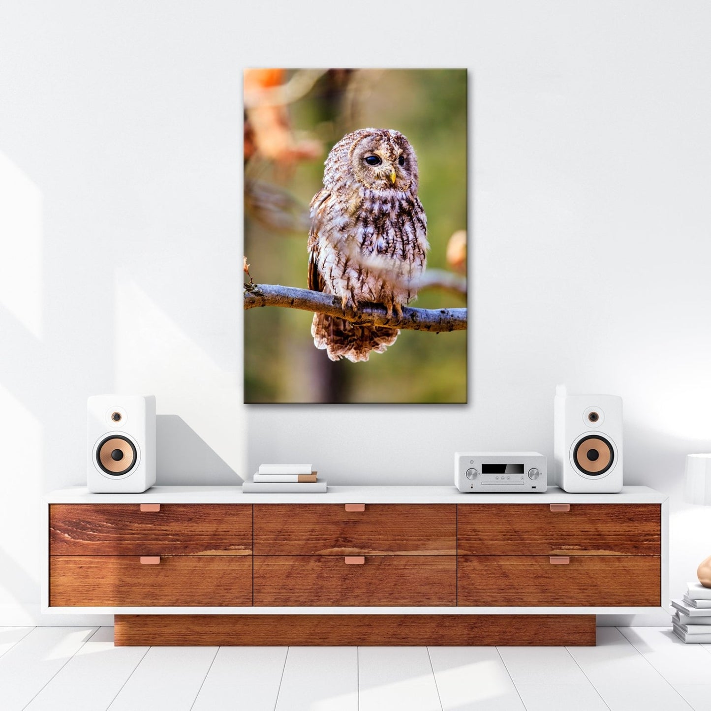 Leinwandbild Eule im Morgenlicht – stiller Blick der Weisheit. - deyoli
