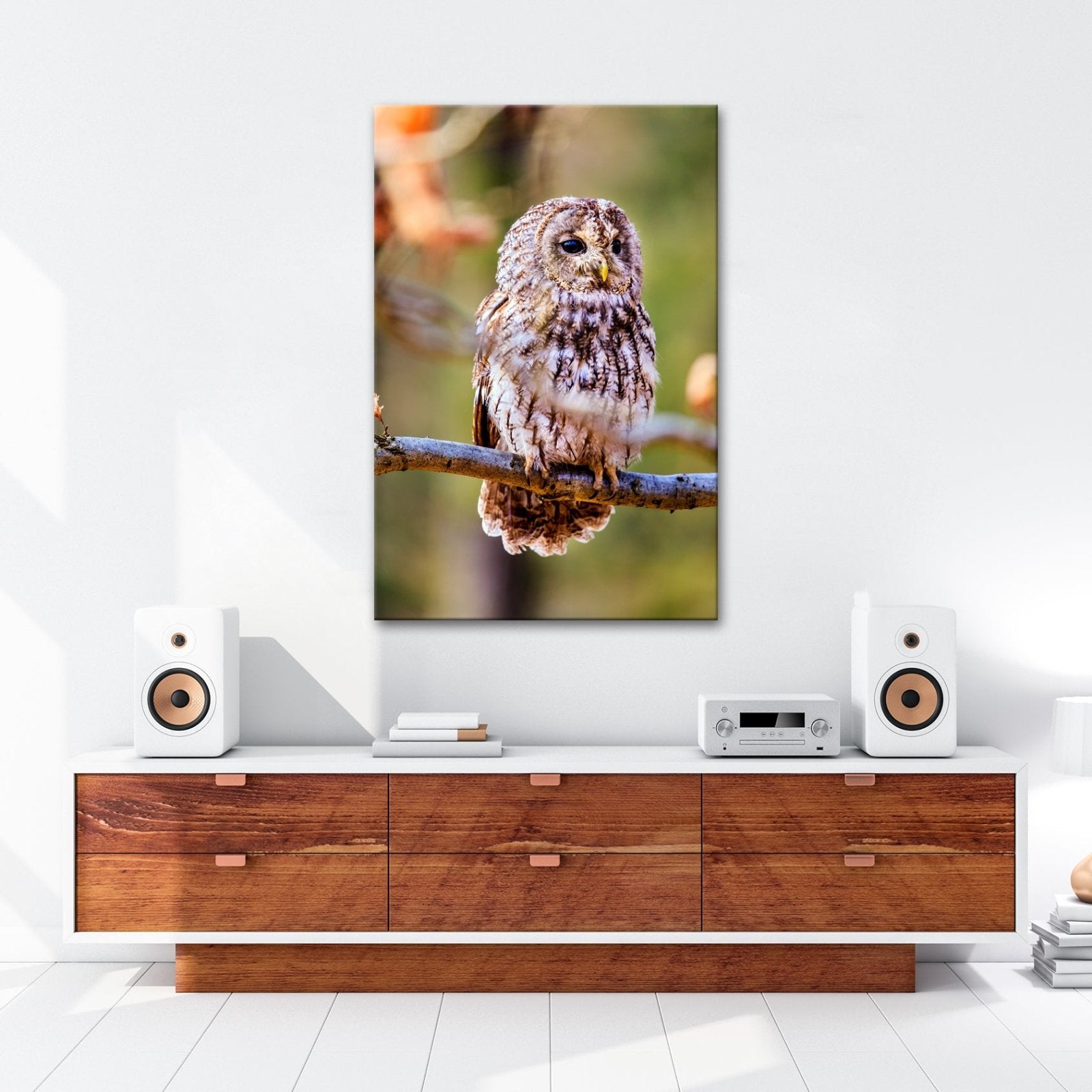 Leinwandbild Eule im Morgenlicht – stiller Blick der Weisheit. - deyoli