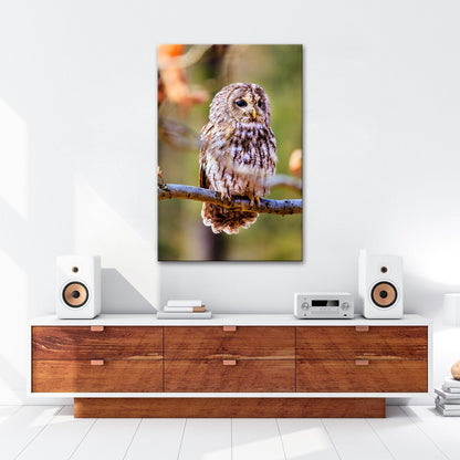 Leinwandbild Eule im Morgenlicht – stiller Blick der Weisheit. - deyoli