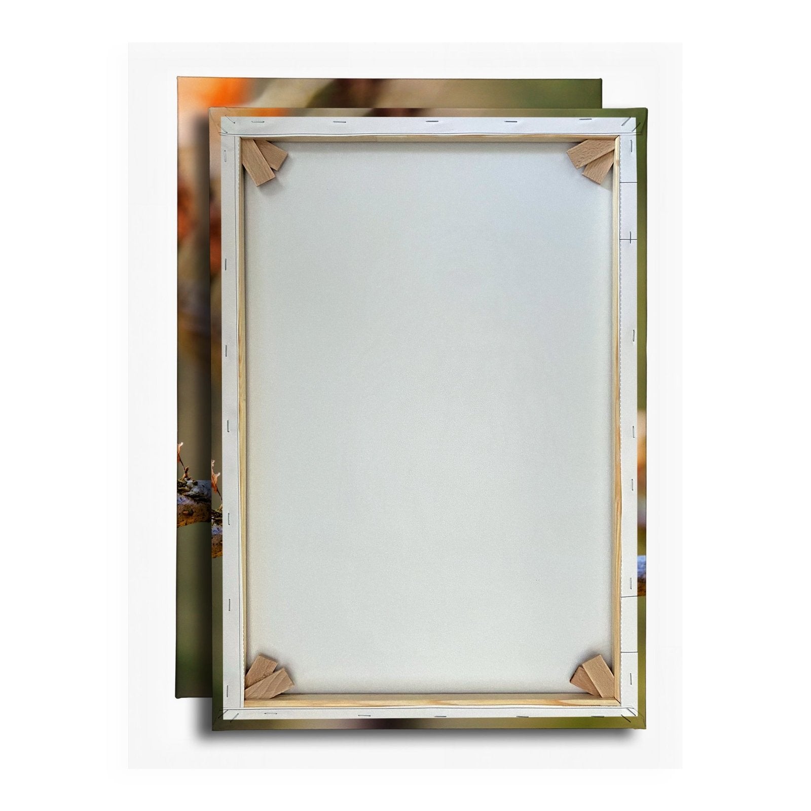 Leinwandbild Eule im Morgenlicht – stiller Blick der Weisheit. - deyoli