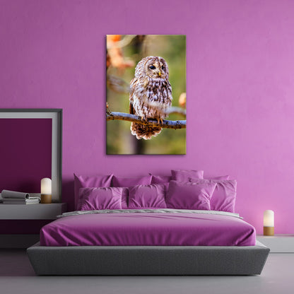 Leinwandbild Eule im Morgenlicht – stiller Blick der Weisheit. - deyoli