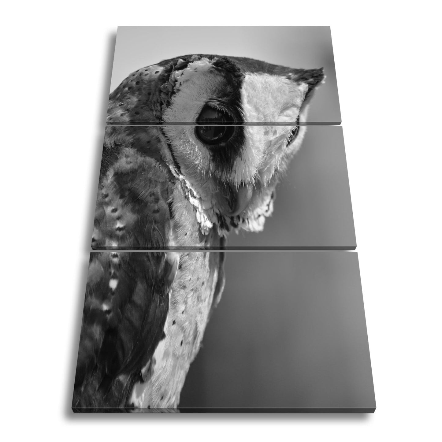 Leinwandbild Eulenblick voller Tiefe – Weisheit in feinem Gefieder. - deyoli