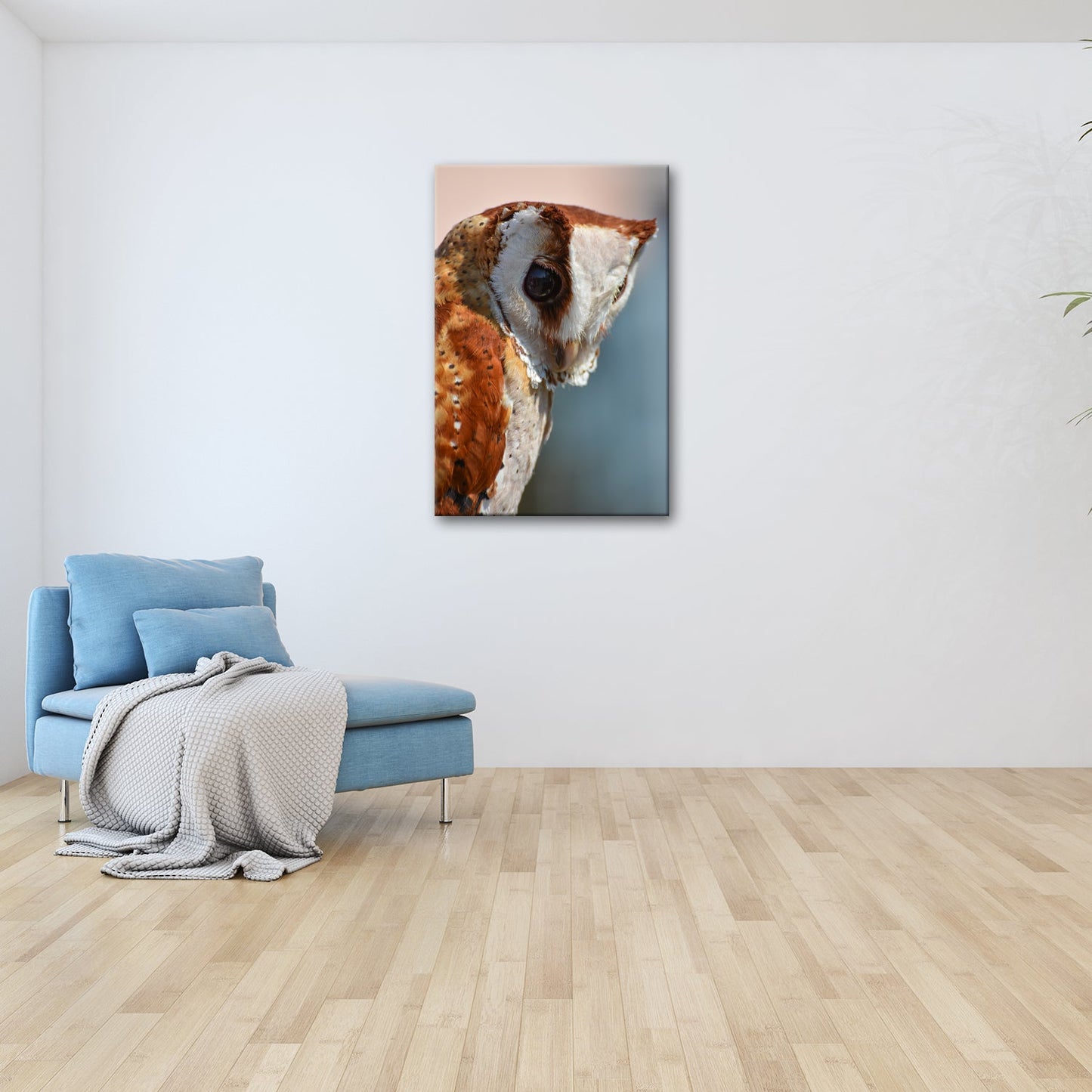 Leinwandbild Eulenblick voller Tiefe – Weisheit in feinem Gefieder. - deyoli