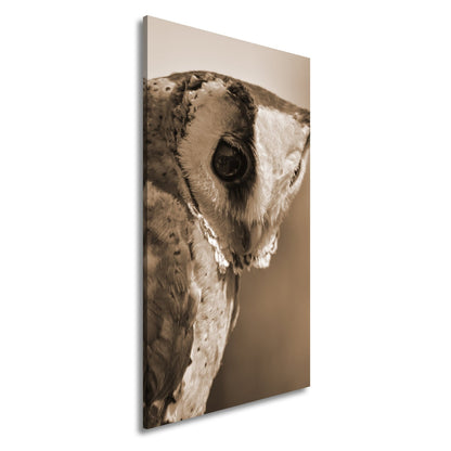Leinwandbild Eulenblick voller Tiefe – Weisheit in feinem Gefieder. - deyoli