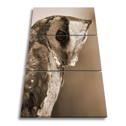 Leinwandbild Eulenblick voller Tiefe – Weisheit in feinem Gefieder. - deyoli