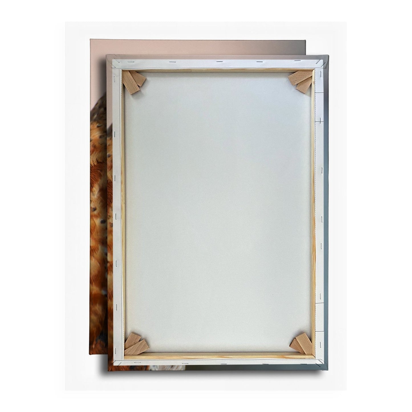 Leinwandbild Eulenblick voller Tiefe – Weisheit in feinem Gefieder. - deyoli