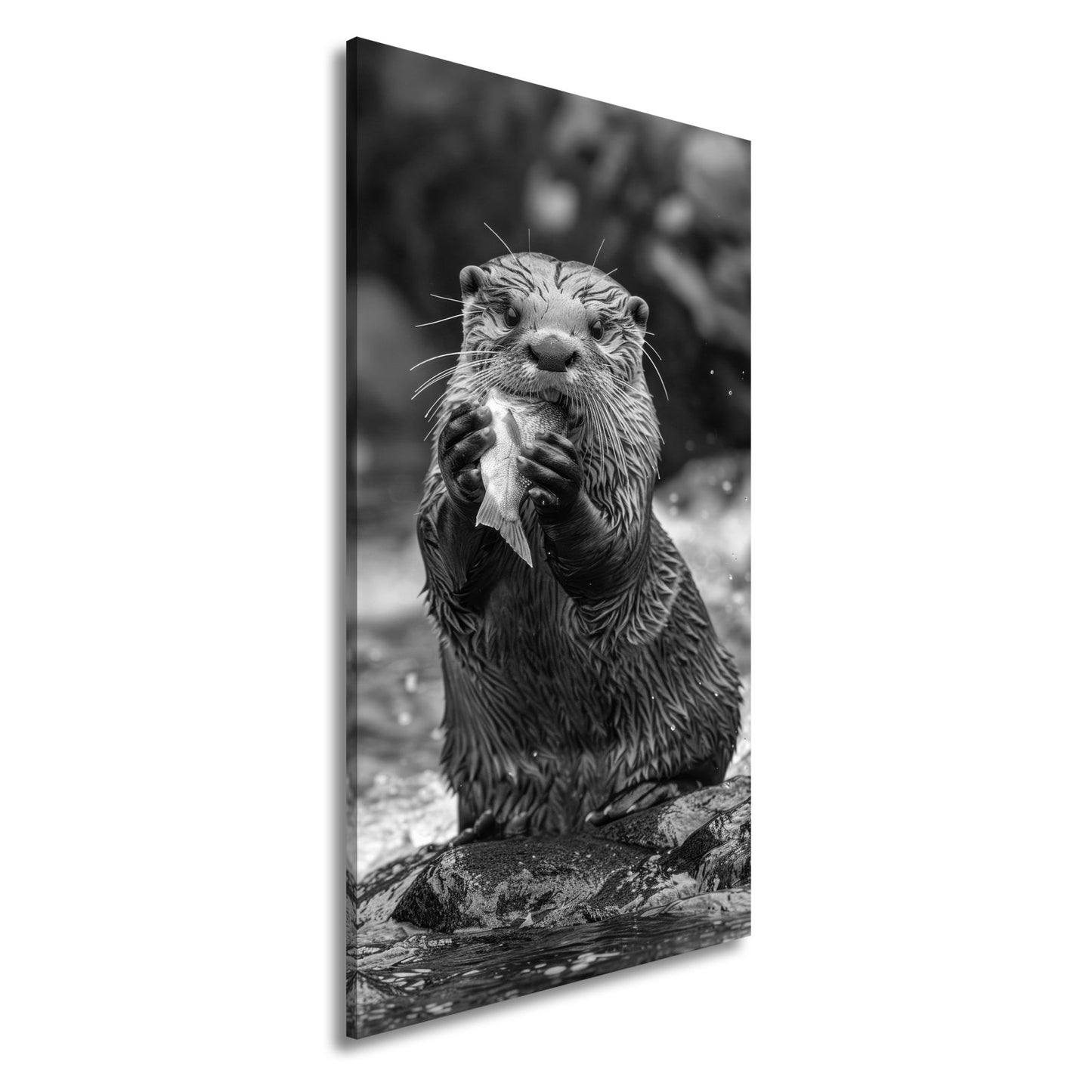 Leinwandbild Fang des Tages – Otterglück mit tropfender Beute. - deyoli