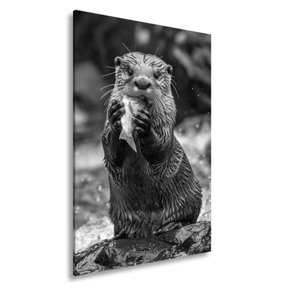 Leinwandbild Fang des Tages – Otterglück mit tropfender Beute. - deyoli