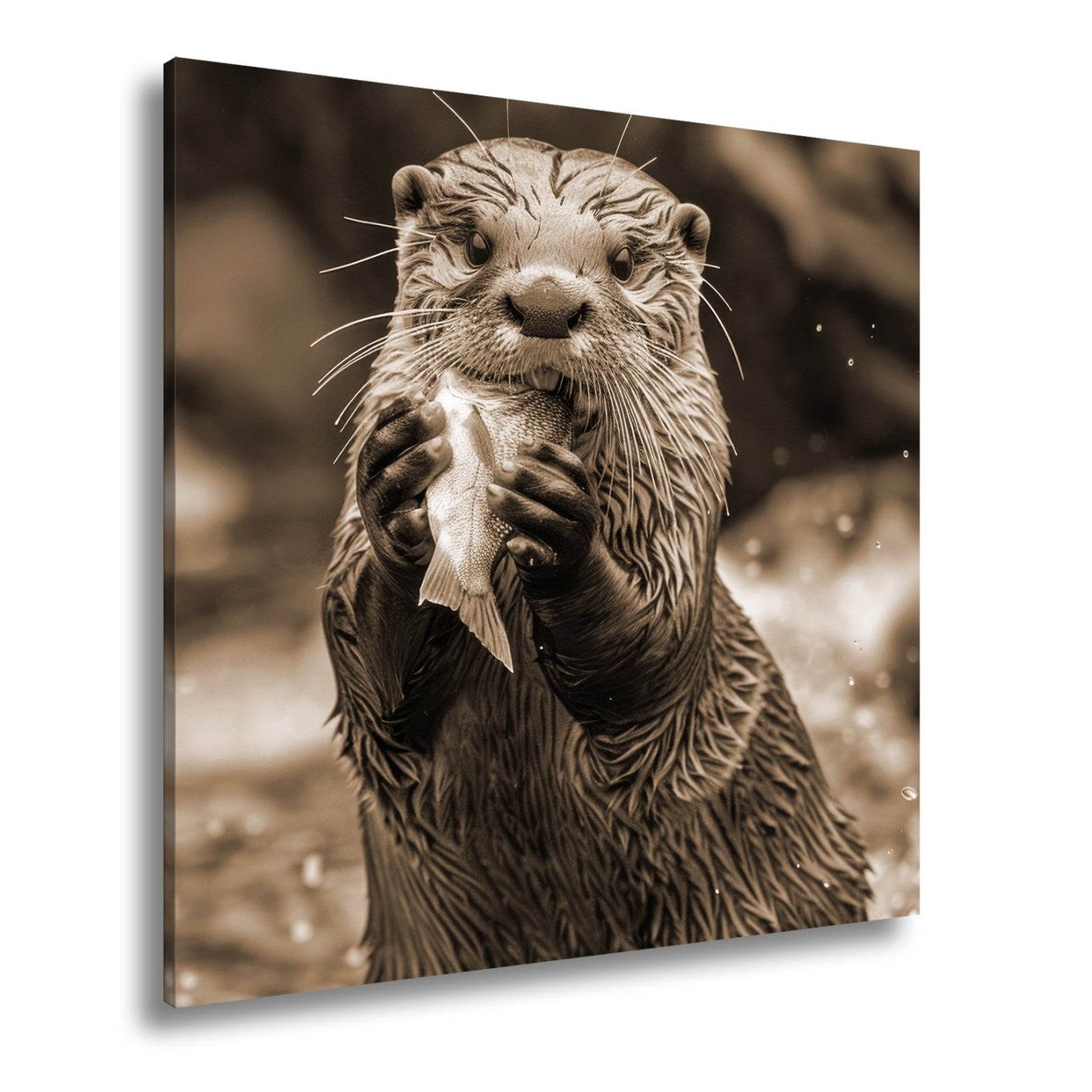 Leinwandbild Fang des Tages – Otterglück mit tropfender Beute. - deyoli