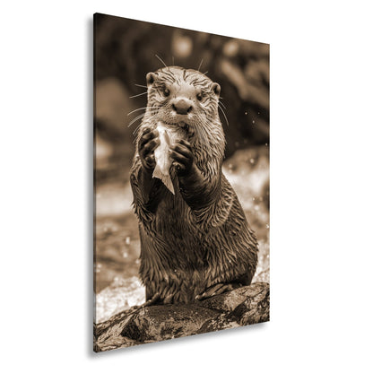Leinwandbild Fang des Tages – Otterglück mit tropfender Beute. - deyoli