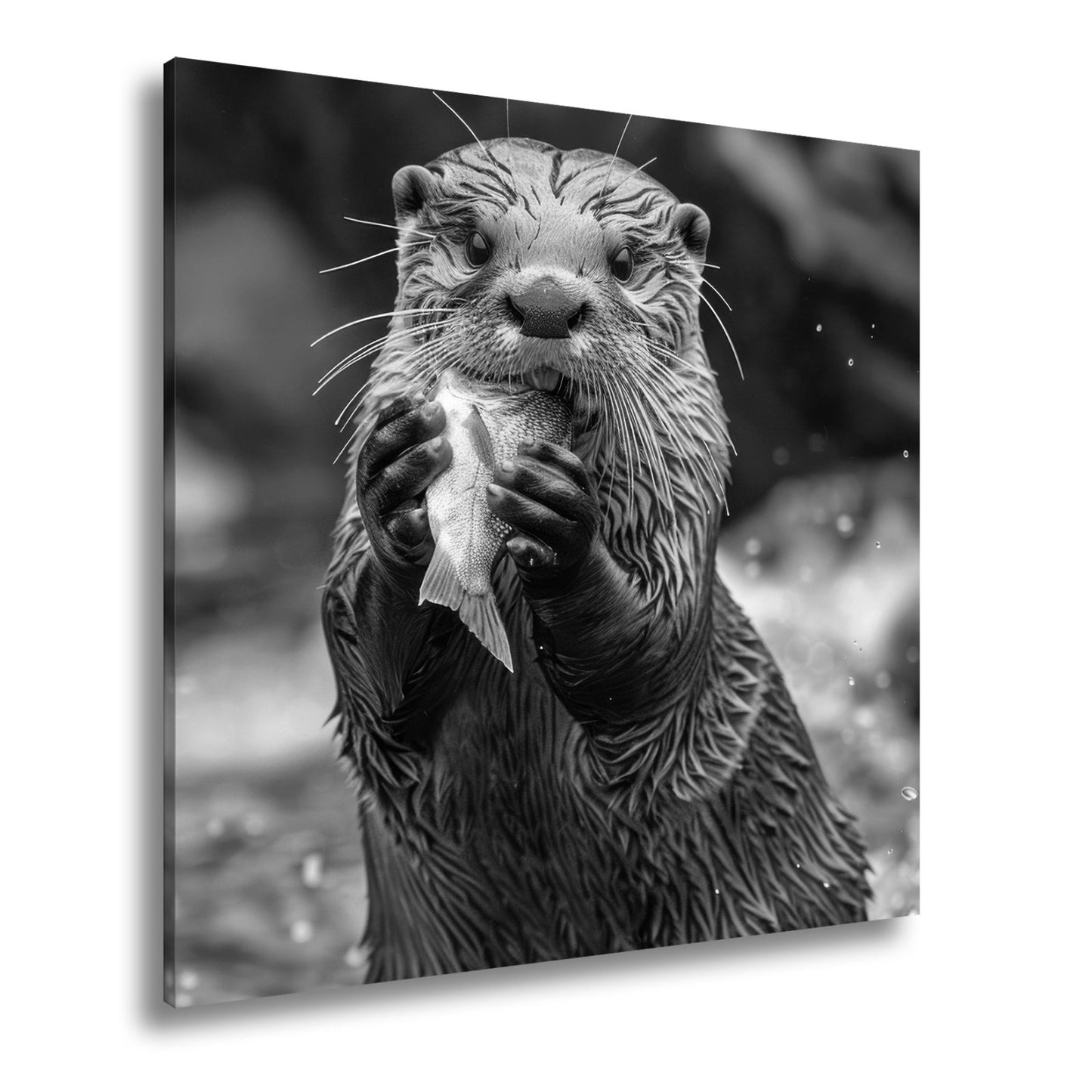 Leinwandbild Fang des Tages – Otterglück mit tropfender Beute. - deyoli