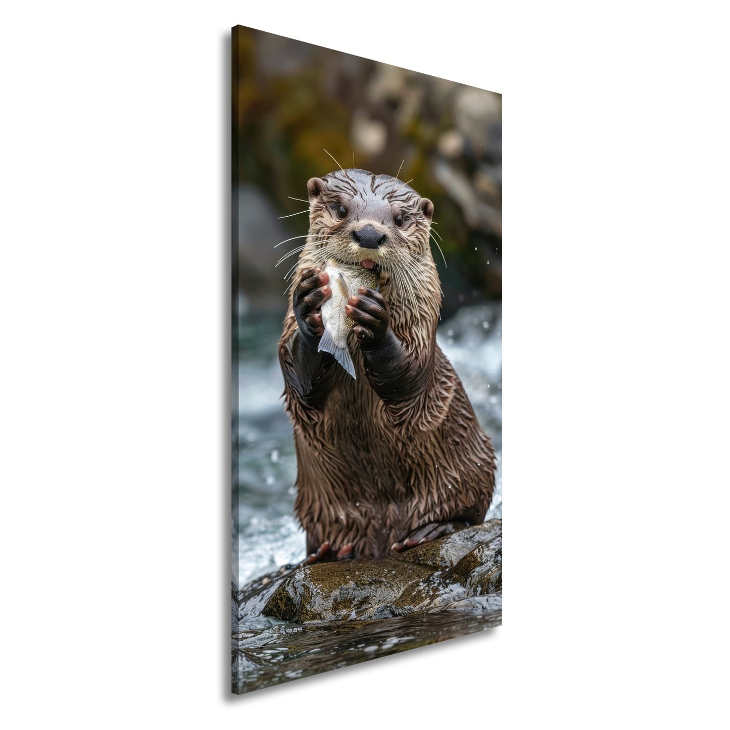 Leinwandbild Fang des Tages – Otterglück mit tropfender Beute. - deyoli