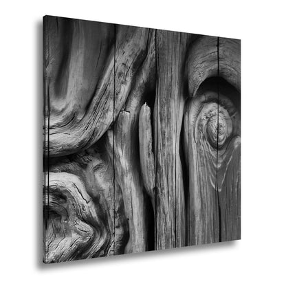 Leinwandbild Farbenflut im Holz – Natur als lebendige Leinwand. - deyoli