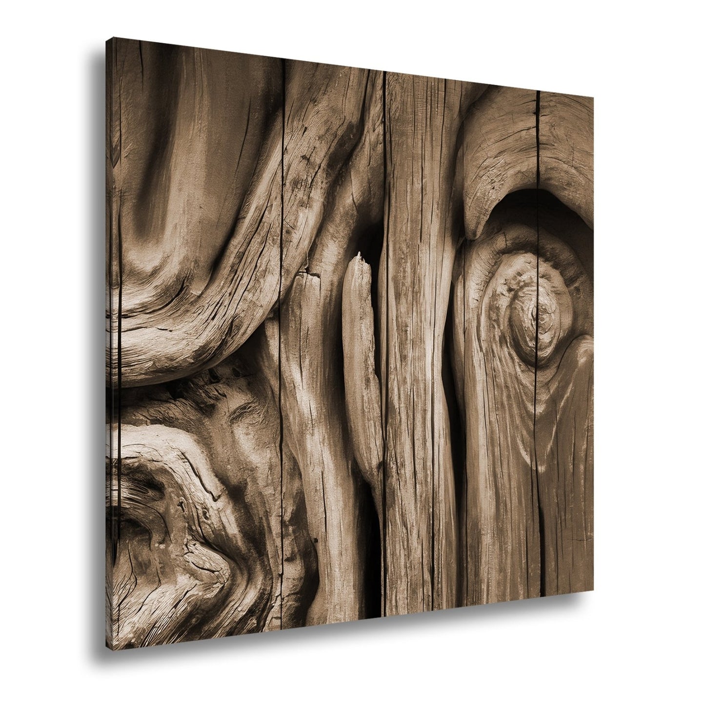 Leinwandbild Farbenflut im Holz – Natur als lebendige Leinwand. - deyoli