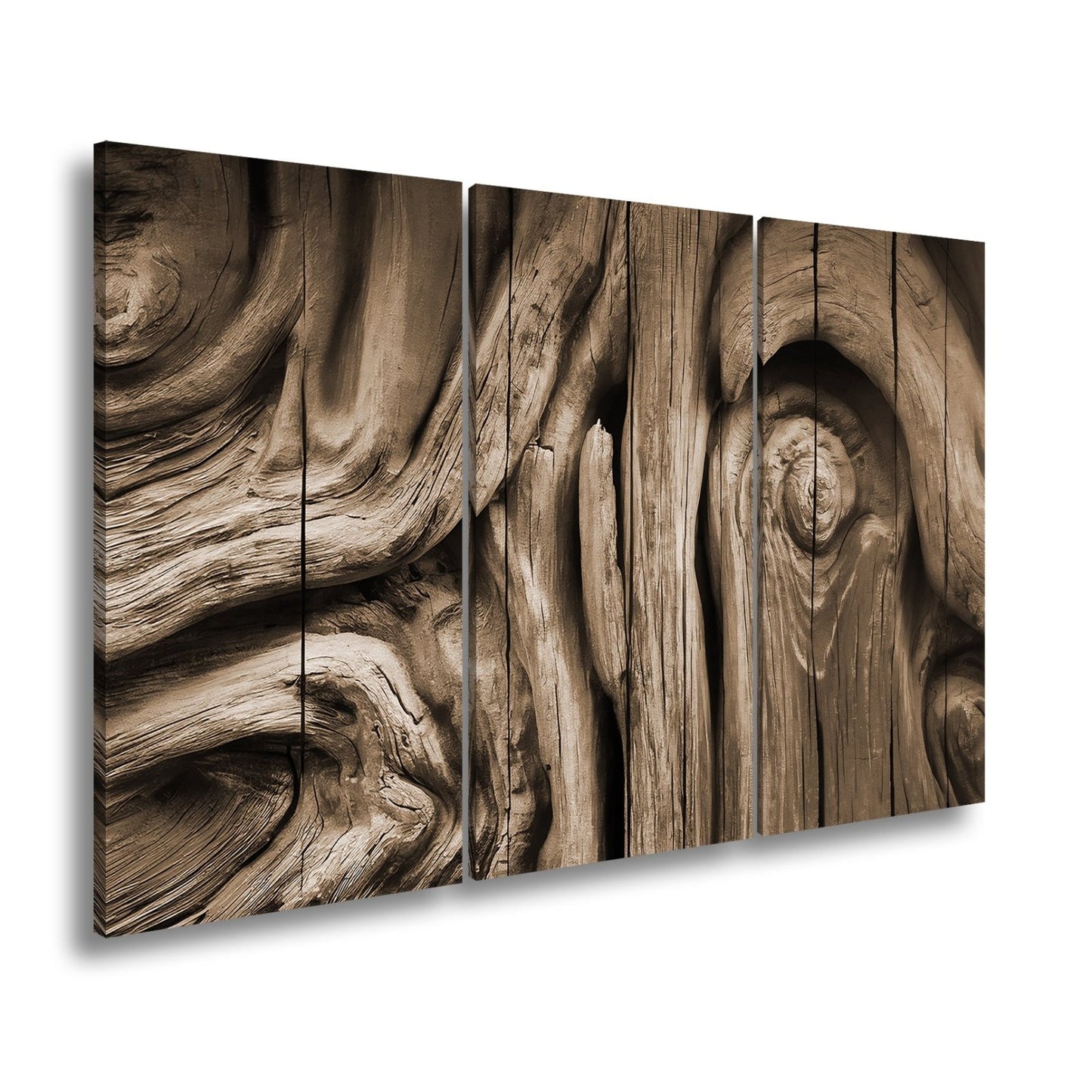 Leinwandbild Farbenflut im Holz – Natur als lebendige Leinwand. - deyoli