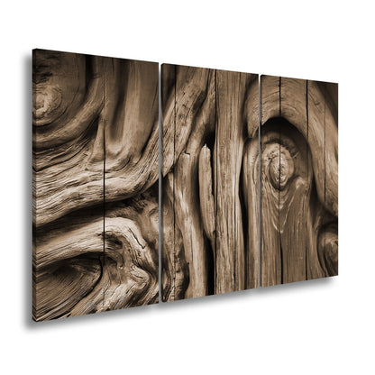 Leinwandbild Farbenflut im Holz – Natur als lebendige Leinwand. - deyoli