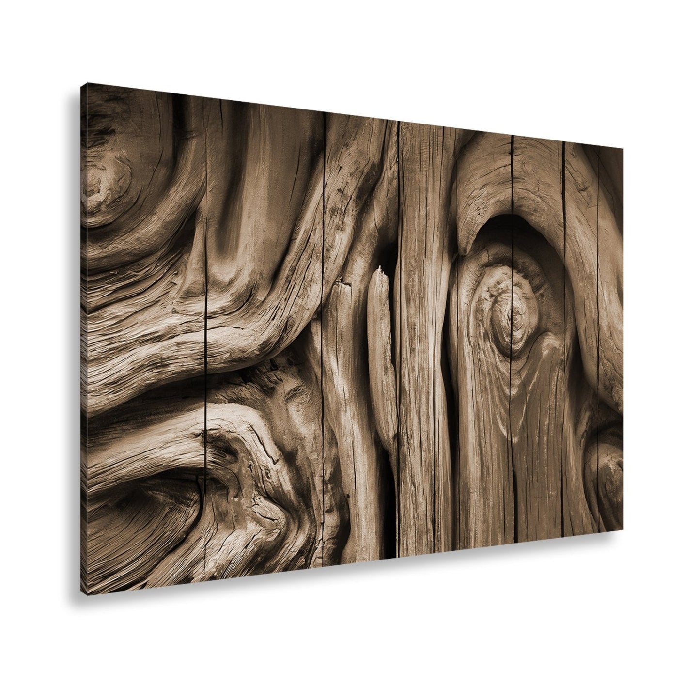 Leinwandbild Farbenflut im Holz – Natur als lebendige Leinwand. - deyoli
