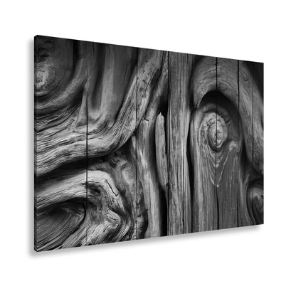 Leinwandbild Farbenflut im Holz – Natur als lebendige Leinwand. - deyoli