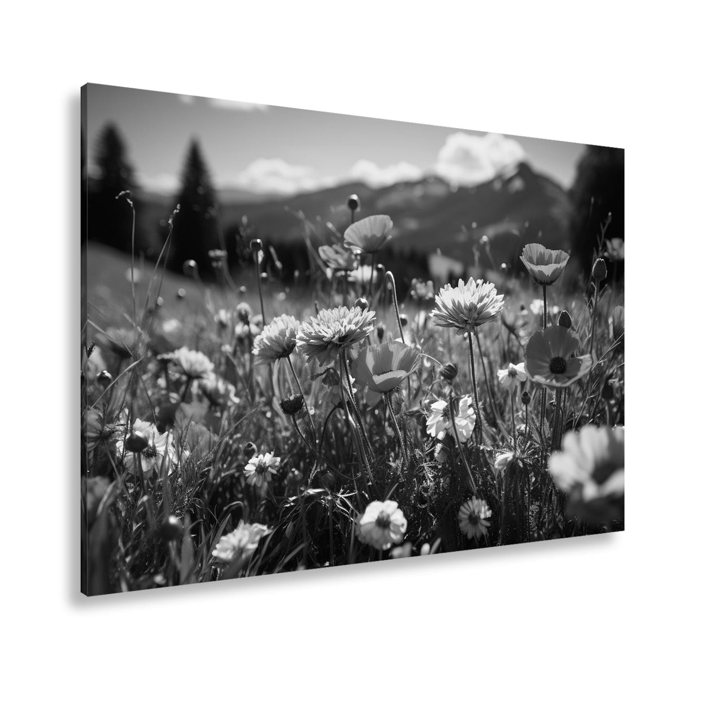 Leinwandbild Farbenfrohe Wiesenblumen tanzen vor Bergkulisse. - deyoli