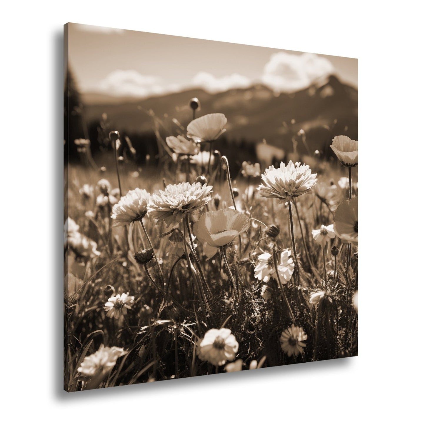 Leinwandbild Farbenfrohe Wiesenblumen tanzen vor Bergkulisse. - deyoli
