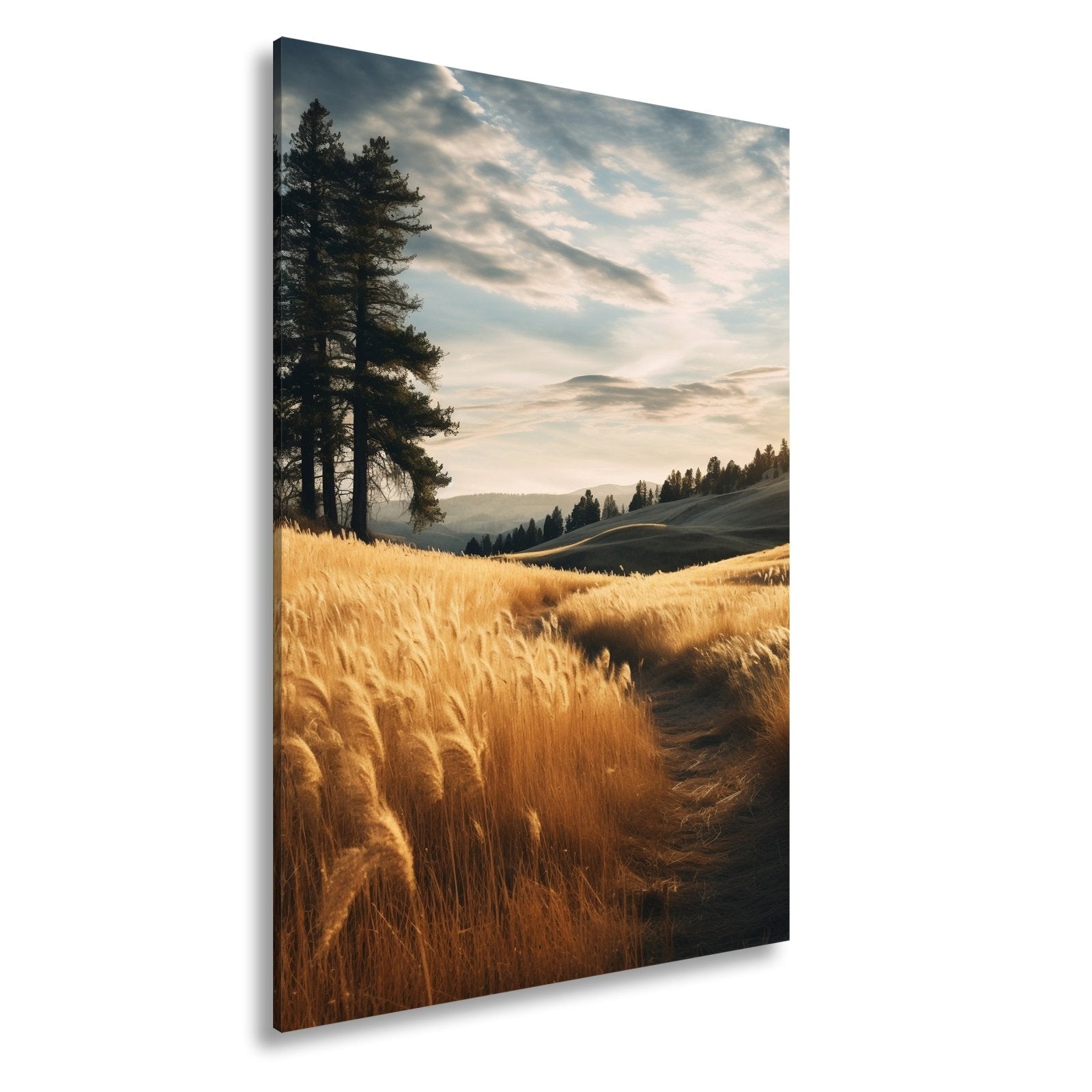 Leinwandbild Felder XXL – Golden wogend im sanften Licht des Abends - deyoli