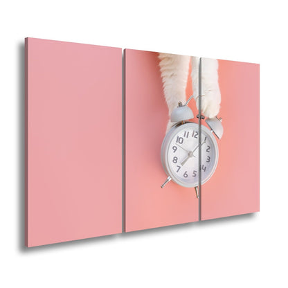 Leinwandbild Flauschige Pfoten halten die Zeit auf rosa Grund. - deyoli